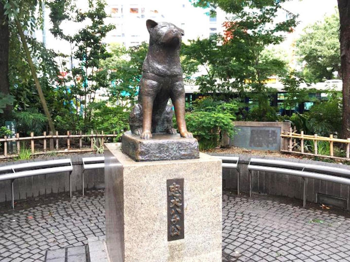 Shibuya-ku - / Vacation 1103 * Tokyo